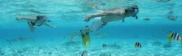 snorkeling bora bora quad combo groupe tours