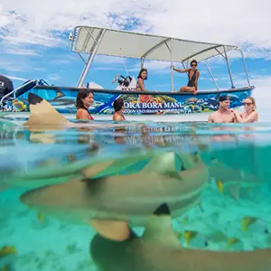ATV combo reef discovery boat
