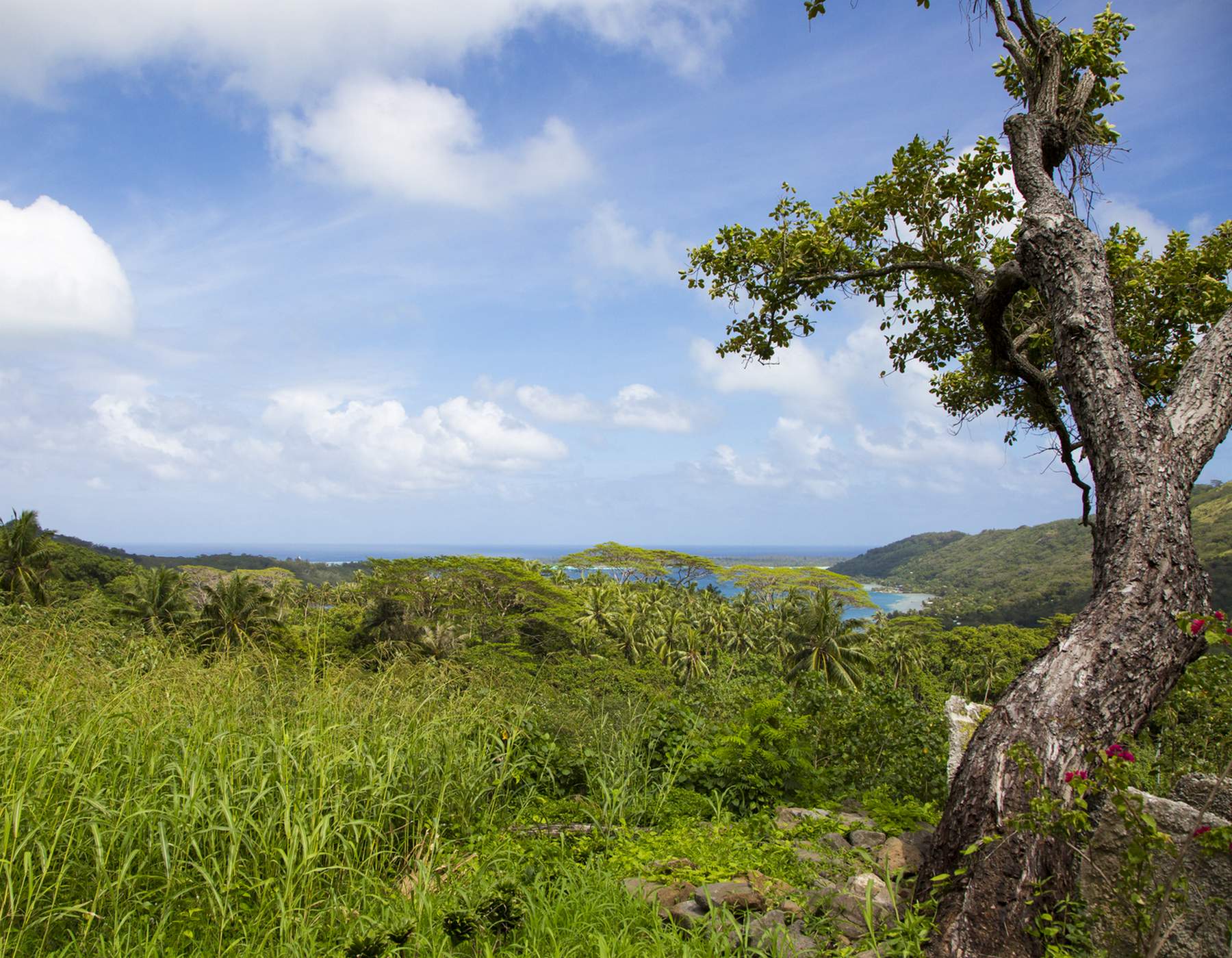 Faanui Valley ATV Quad Tours Bora Bora Mountain Adventure