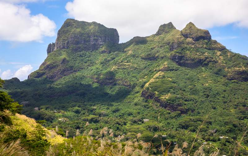 Bora Bora Tours ATV Quad - Mount Popoti - Photo Gallery 7