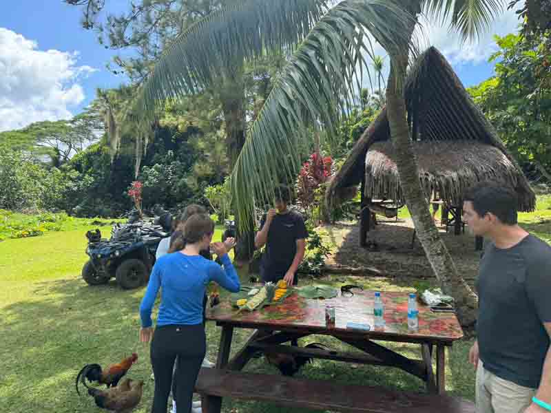 Bora Bora Island Safari ATV Tour Experience