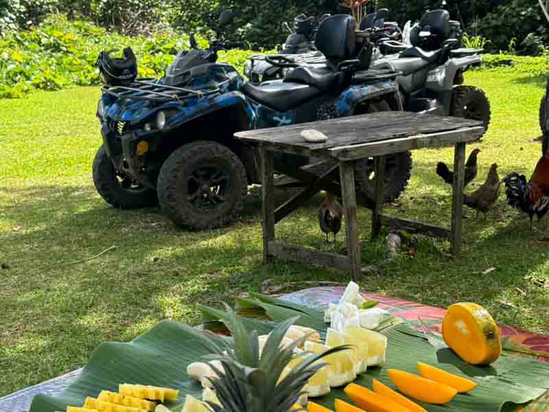Bora Bora Quad ATV Island Safari Tour